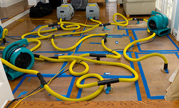Professional Structural Drying And Dehumidification technician working in Wadmalaw Island, SC